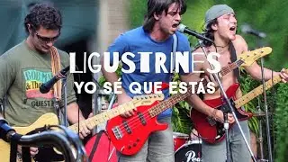 Ligustrines - Yo sé que estás