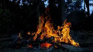  Campfire Crackling Sounds 🔥 2 Hours | Cozy Fire Ambience (No Music)