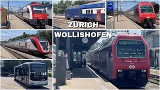 Züge beim Bahnhof Zürich Wollishofen | Trains at Zurich Wollishofen station (2024)