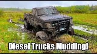 Diesel Trucks Mudding