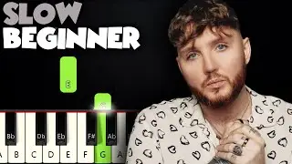 Say You Won't Let Go - James Arthur | SLOW BEGINNER PIANO TUTORIAL + SHEET MUSIC by Betacustic