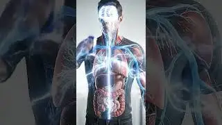 What Happens to Your Body After Drinking Red Bull? 3d Explained.#humanbody  #anatomyanimation