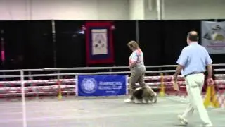 Payton 2015 ASSA Open