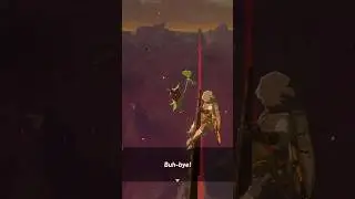 The Bravest Korok #botw #totk #zelda #nintendogame #loz #breathofthewild #zeldabotw #zeldabotw2