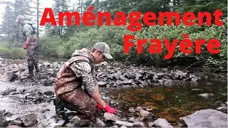 Comment am&eacute;nager une fray&egrave;re? (omble de fontaine)