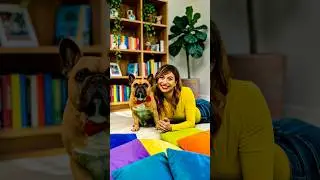 🐶Hai un cane stalker #commedia # #canedivertente #bulldogfrancese