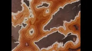 Didn't Know We Had Any ... till We Found this Unpolished Dryhead Agate Half!