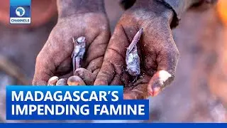 Madagascar's Impending Famine, UK Tax Rise + Other Global Business News | Channels Business global