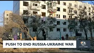 Push to end Russia-Ukraine War