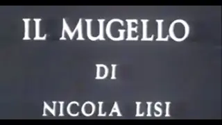 Il Mugello di Nicola Lisi