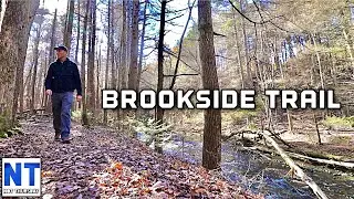 One of the nicest hikes i have had along the brookside trail in the Wales preserve in NH