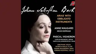 Jesus ist ein Guter Hirt, BWV 85 (With Cello Piccolo and Organ)