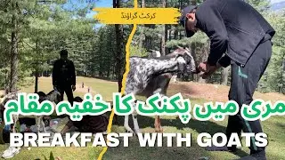 Secret Picnic Spot || Murrree || Pindi Point
