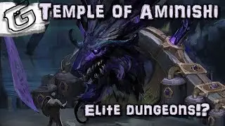 Temple of Aminishi - New Elite Dungeons!
