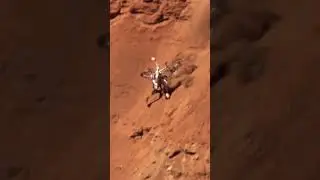 Винтажные аварии Red Bull Rampage #mtb #downhill #mountainbiking