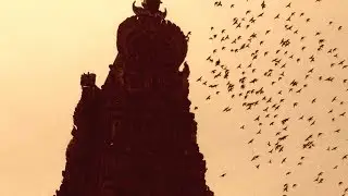 Birds circling around a temple tower -  Weird?