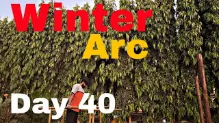 Winter arc Day 40 Challenge #motivation #winterarc #bramcharya #vlog #viral #india #viralvideo 