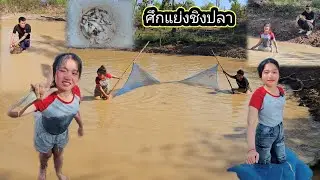 เสียงดังสนั่นหวั่นไหวที่หนองปลาน้องน้อย Ep 2 ไม่ทำให้ผิดหวัง 30 มกราคม ค.ศ. 2026