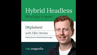 DXPlained &ndash; Hybrid Headless
