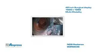 NDS Radiance Display Monitor Screen Sales | Service | Repair | Exchange | Replacement