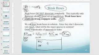 Weak bases: draw in solution; calculate pH