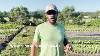 Farm Update 23 March 2022 - Millen Farm