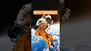 Оранжевый против белого: смертельная разница 🛰️