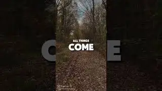 Trust Jesus #youtubeshorts #shorts #jesus #god #motivation #motivational #inspiration #inspirational