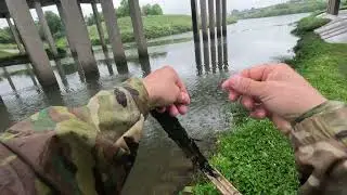 4K Bass Fishing in USA Catfish Alligator Gar Spotted Smallmouth bass Shimano metanium DC Megabass