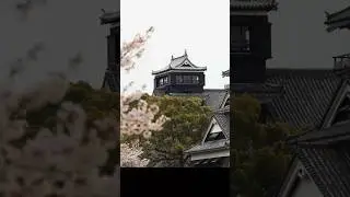 Discover the Secrets of Japan's Most Famous Castles: Kumamoto Castle 🏯