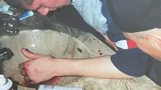 Inmate Apologizes To His Victim!