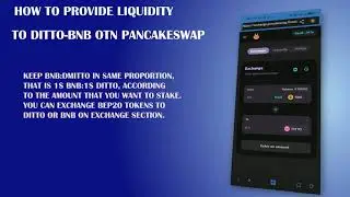 WHAT IS DITTO MONEY? WHAT IS ELASTIC TOKEN? HOW TO PROVIDE LP ON PANCAKESWAP? HOW TO STAKE ON DITTO?