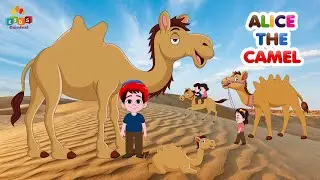 Alice The Camel Song I Funmelon Nursery Rhymes And Kids Songs I Number Song