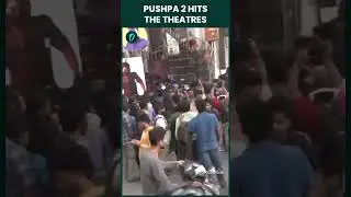 PUSHPA 2: THE RULE - A GLIMPSE INTO THE MUCH-AWAITED SEQUEL