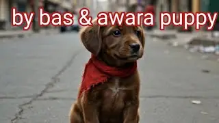 By bas aor awara puppy/ The sad story of a helpless puppy