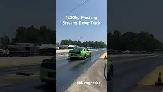 1200hp Mustang Makes A Fast Pass #fordcoyote #s197 #s197mustang #dragracing #fordmustang #mustang