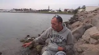Le port de pêche à Kelibia