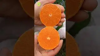 Why Do Chinese Oranges So Juicy😱