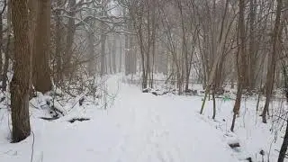 WAZuP - Snowblind  [Is There Anybody Out There ?] Minilogue, Moog mother 32, Roland SH-01A