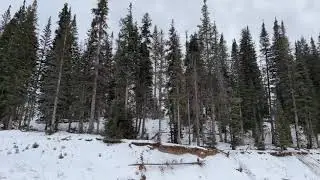 Pinetop, AZ - 4K