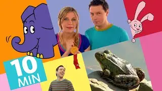 Hallo Elefant - Wie h&uuml;pft ein Frosch & Spot H&uuml;pfen mit Elefant und Hase | Der Elefant |&nbsp;WDR