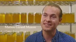 Ghee Manufacturing