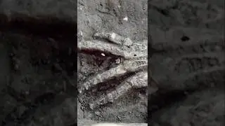 Giant hand skeletons #shorts #skeleton #mystery