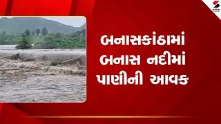 Banaskantha | બનાસકાંઠામાં બનાસ નદીમાં પાણીની આવક | Banas River | Water Level | Gujarat