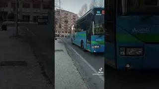 buona domenica da questo Irisbus