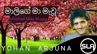 Malige ma mawu sinhala song / මාලිගේ මා මැවූ / Yohan Arjuna / MS Tunes LK