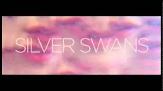 Silver Swans - Friendship