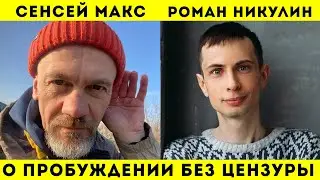 Роман Никулин. Сенсей Макс. Откровенно о Пробуждении и не только