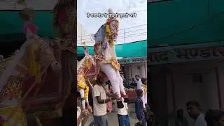 बाबा रामदेव जी मारो घोडलो घुमतो आवे रुणिचा नगरी में पैदल यात्रा #ramdevrapaidalyatra #जय_बाबा_की