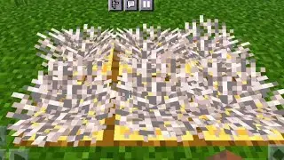 CORAL CARPET IN MINECRAFT  - #SHORTS